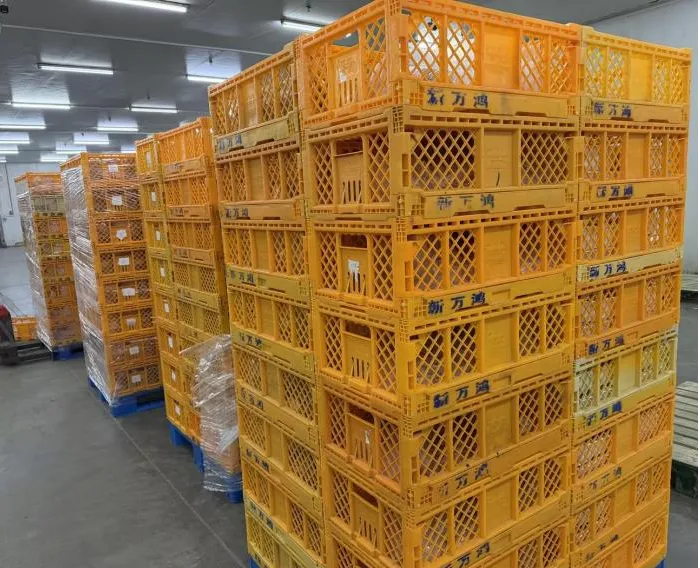 8e63cec2d5d2e798671cd320629af642 多宝电竞·(中国区)官方网站