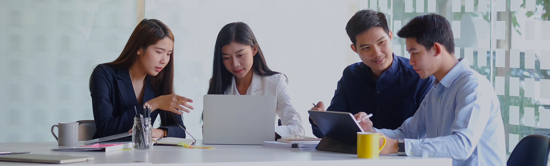 w66(�й���)�����ƹٷ���վ